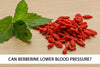 Can Berberine Lower Blood Pressure