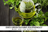 Does green tea have Polyphenols?