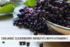 Organic Elderberry Benefits with Vitamin C