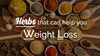What herbs can help you lose weight ? Read this amazing article herbs for weight loss