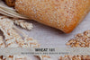 Wheat Nutrition Facts and Health Effects