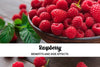 raspberry benefits and side effects