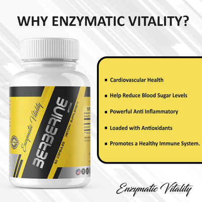 Berberine Benefits 1200mg Premium Berberine Uses for Glucose - Enzymatic Vitality